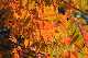 image0168
