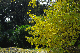 image0173