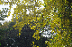 image0174