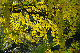 image0175