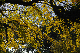 image0176