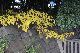 image0180