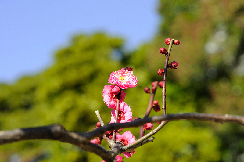 image0103