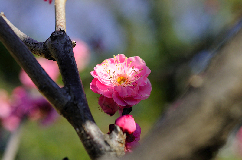 image0106