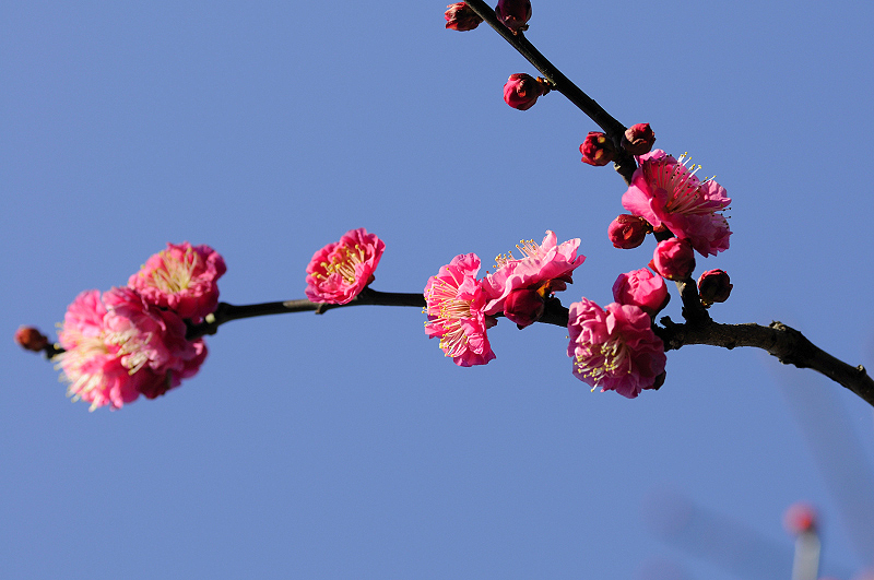 image0126