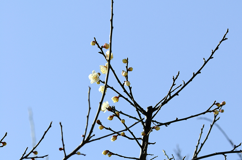 image0132