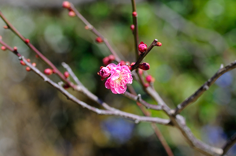 image0135
