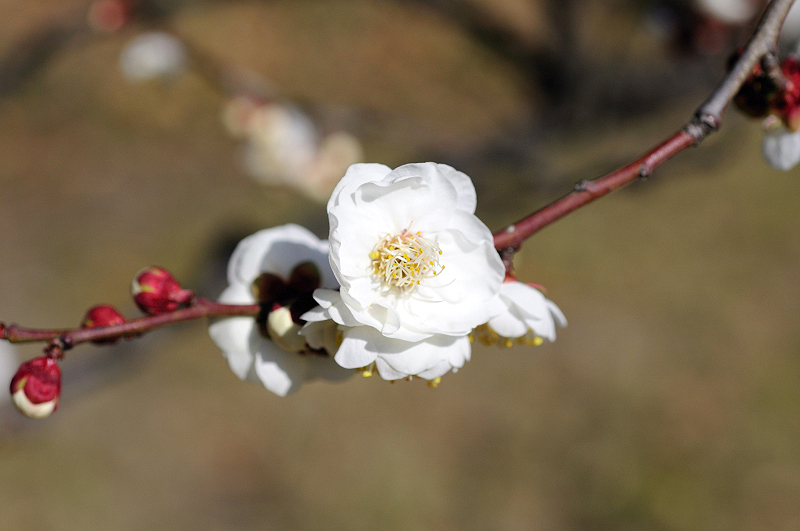 image0157