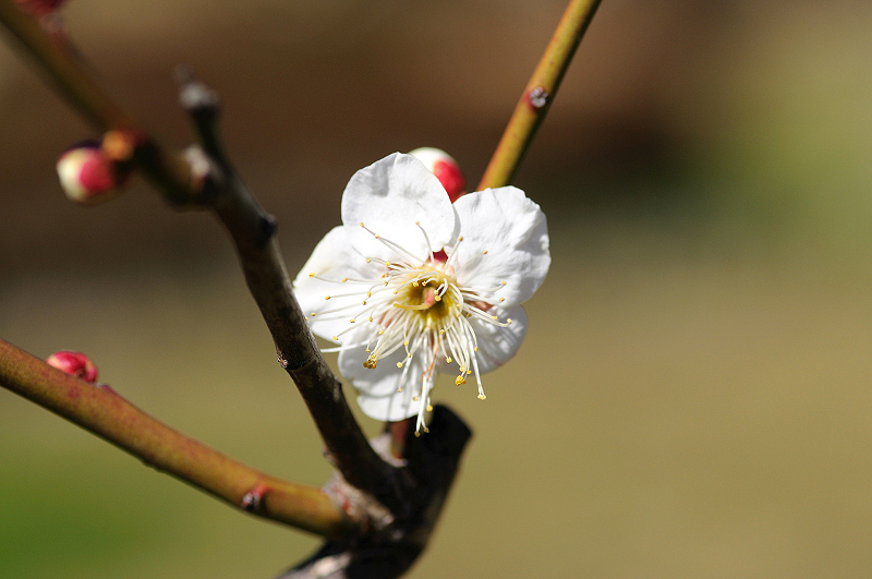 image0104