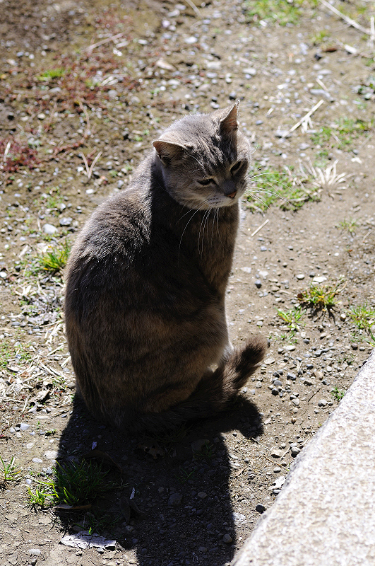 image0107