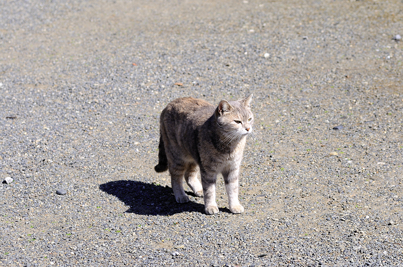 image0108