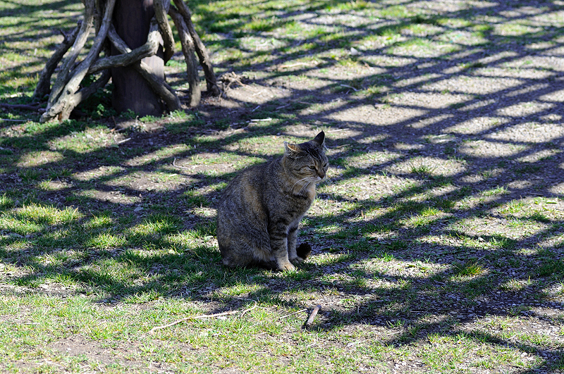 image0109