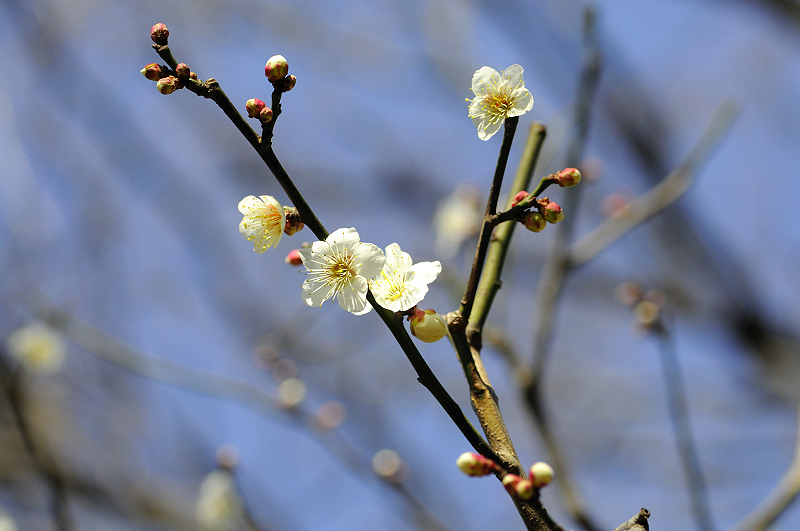 image0110