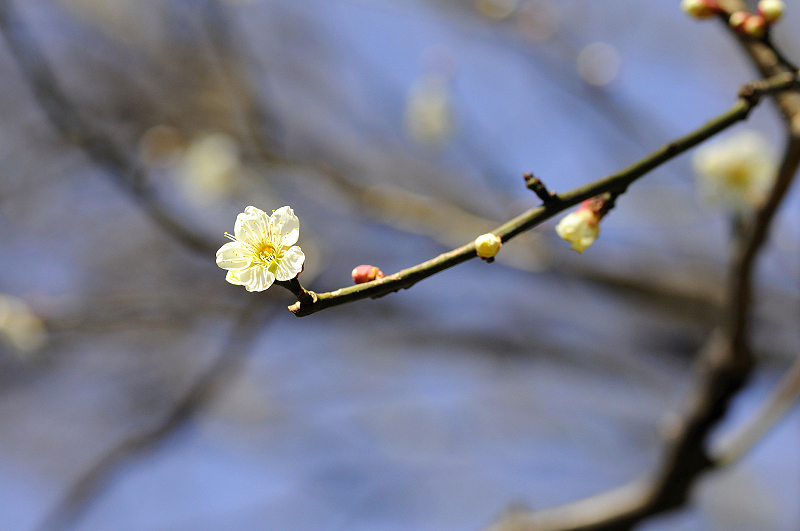 image0111