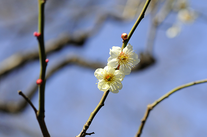 image0112