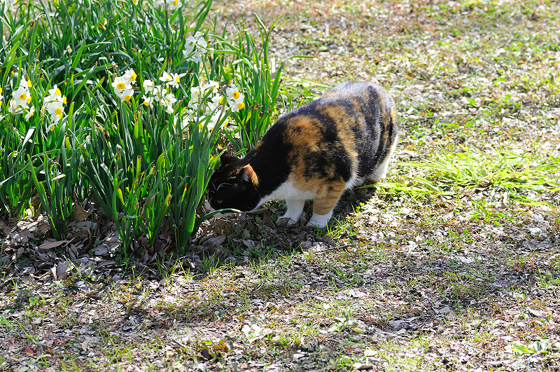 image0118