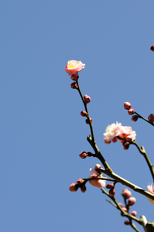 image0122