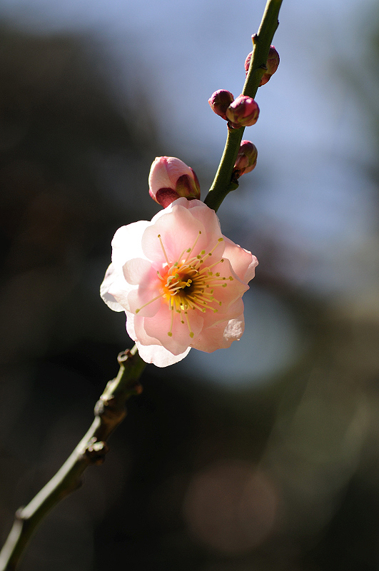 image0125