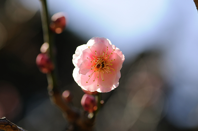 image0127