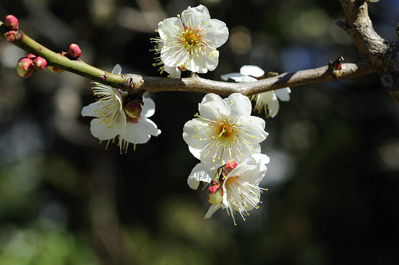 image0131