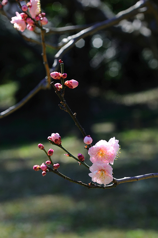 image0133