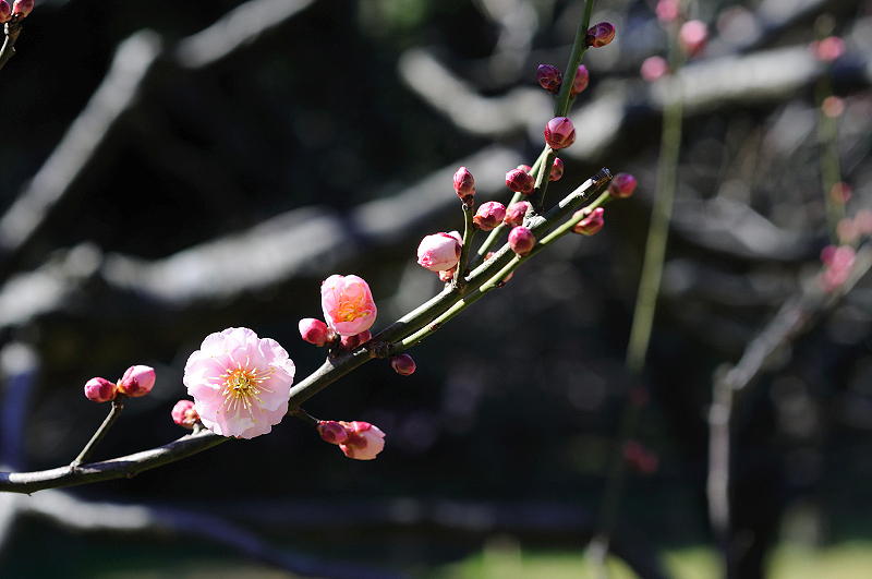 image0134