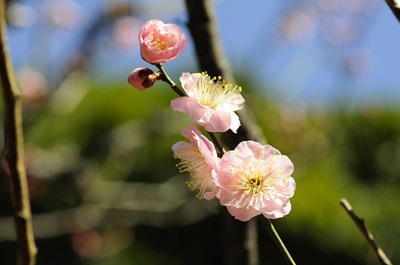 image0136