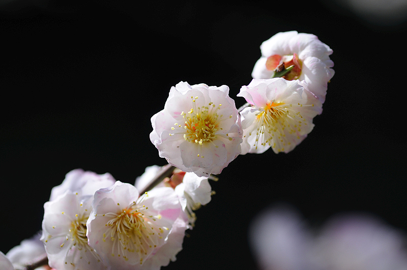 image0149