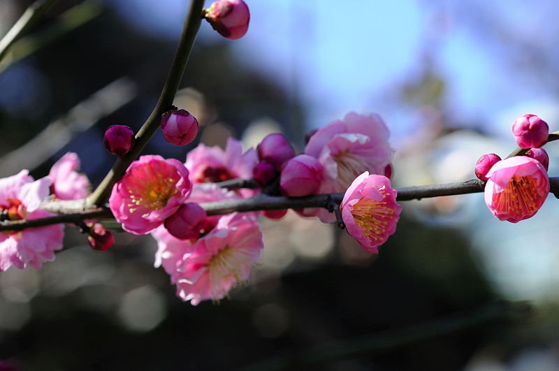 image0154