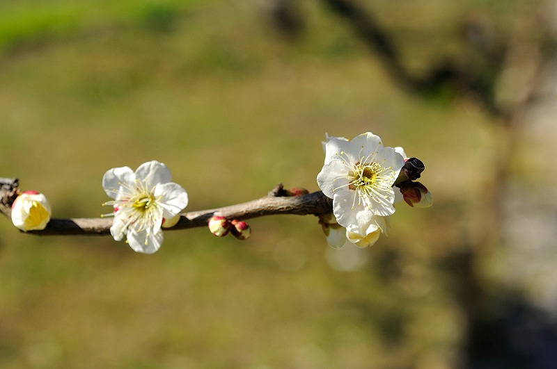 image0159