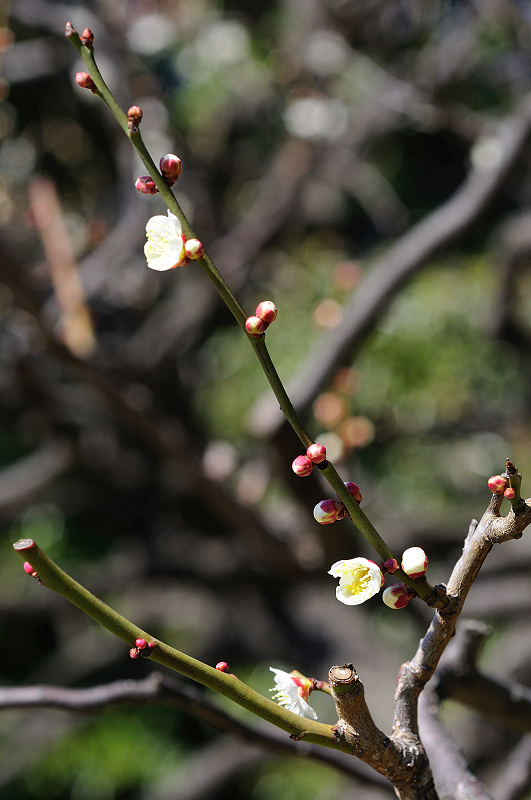 image0164