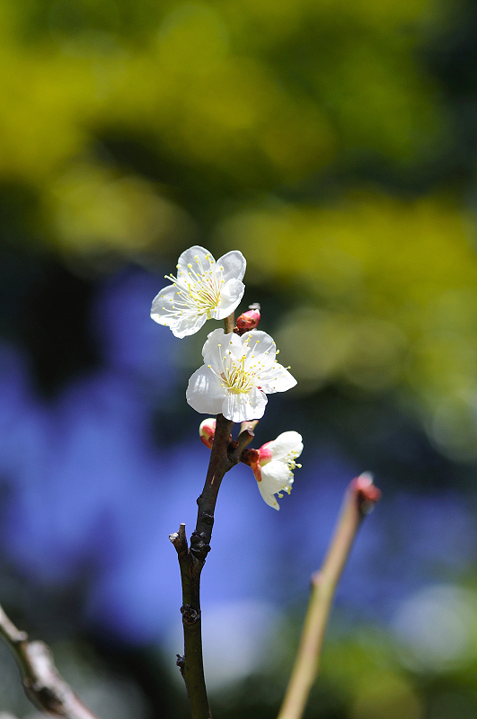 image0166