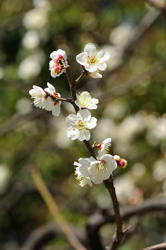 image0168