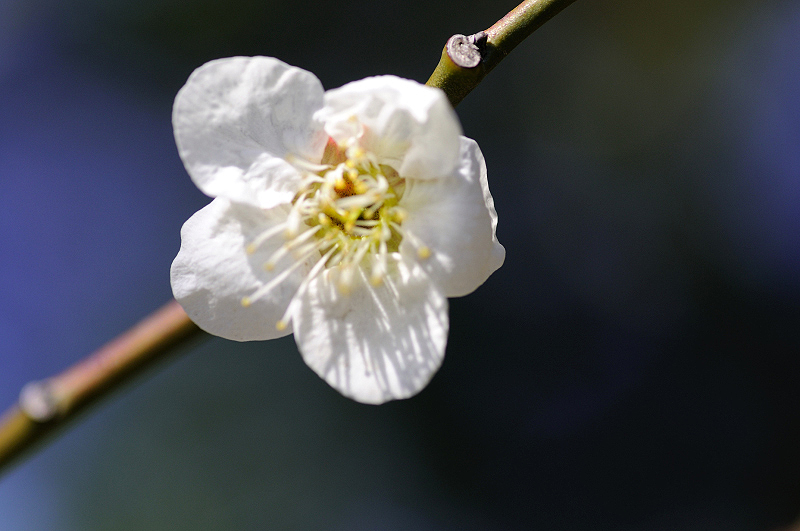 image0170