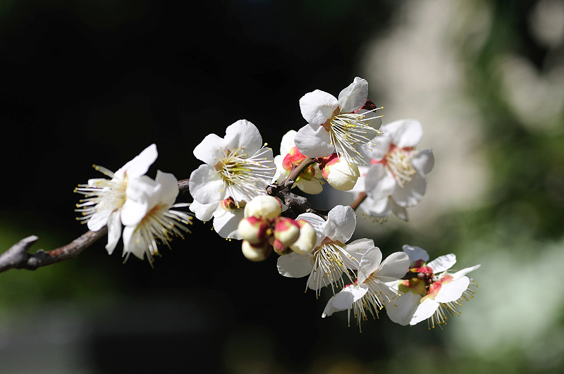 image0173