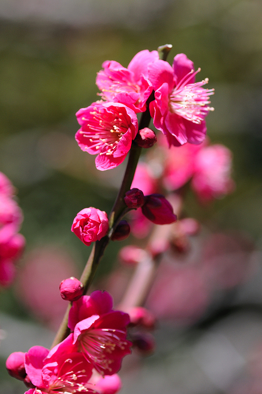 image0178
