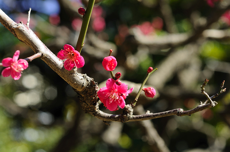 image0190