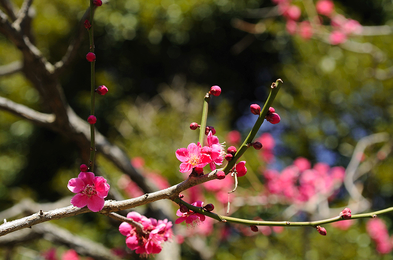 image0191