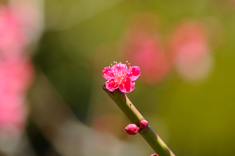 image0192