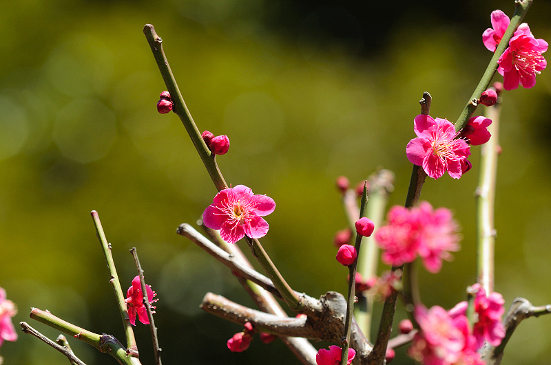 image0194