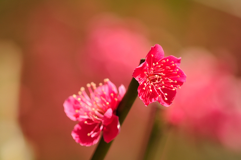 image0200