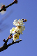 image0161