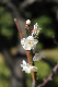 image0163