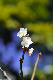 image0166