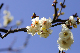 image0167