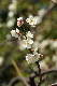 image0168