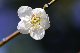 image0170