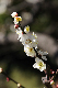 image0171