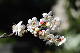 image0173