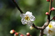 image0174